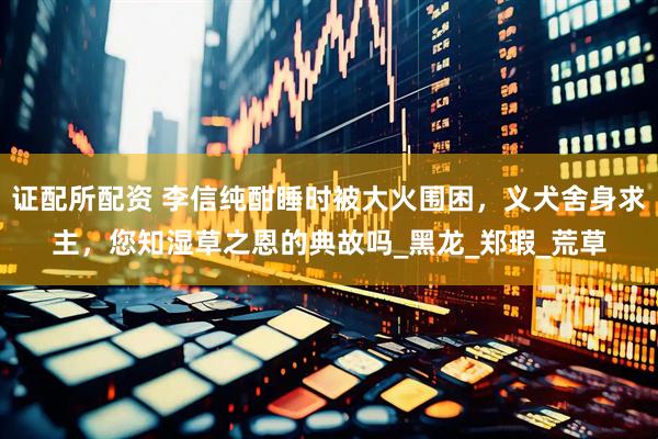 证配所配资 李信纯酣睡时被大火围困，义犬舍身求主，您知湿草之恩的典故吗_黑龙_郑瑕_荒草