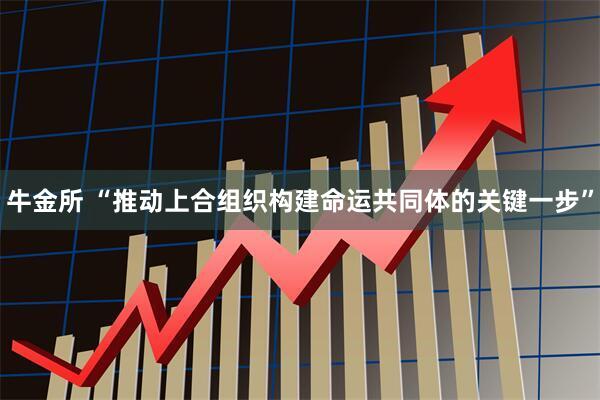 牛金所 “推动上合组织构建命运共同体的关键一步”