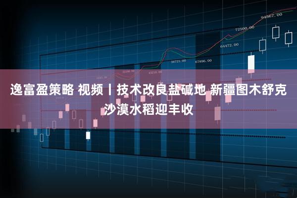 逸富盈策略 视频丨技术改良盐碱地 新疆图木舒克沙漠水稻迎丰收