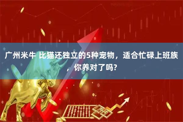 广州米牛 比猫还独立的5种宠物，适合忙碌上班族，你养对了吗?