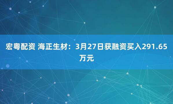 宏粤配资 海正生材：3月27日获融资买入291.65万元